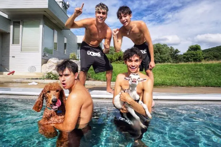 Home of The Dobre Brothers