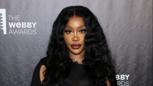 SZA before surgery: How the singer transformed her body and face
