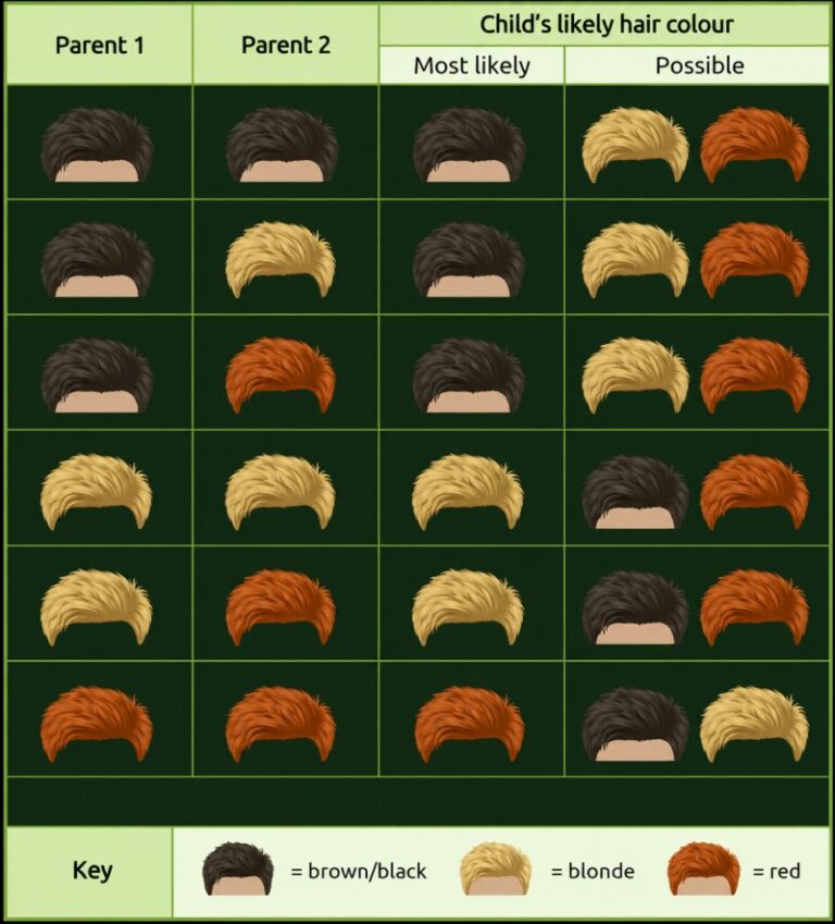 What Makes Blonde Hair So Rare? 9 Facts About Hair Color And Genetics